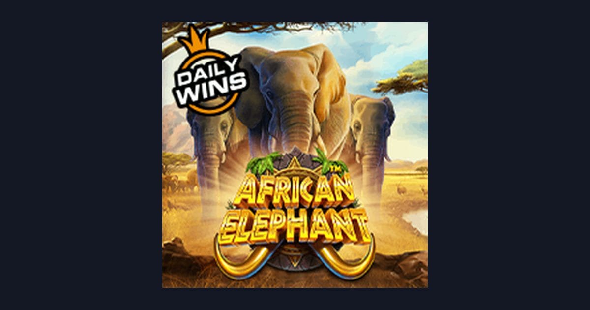 African Elephant: Slot Online Seru dengan Tips Pola Spin Terbaru